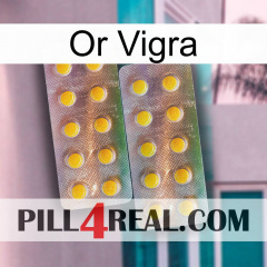 Gold Vigra new10